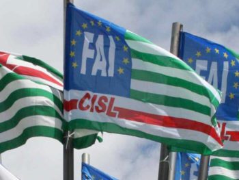 Parmalat di Savigliano: con il 66% dei voti, Fai Cisl primo sindacato in azienda